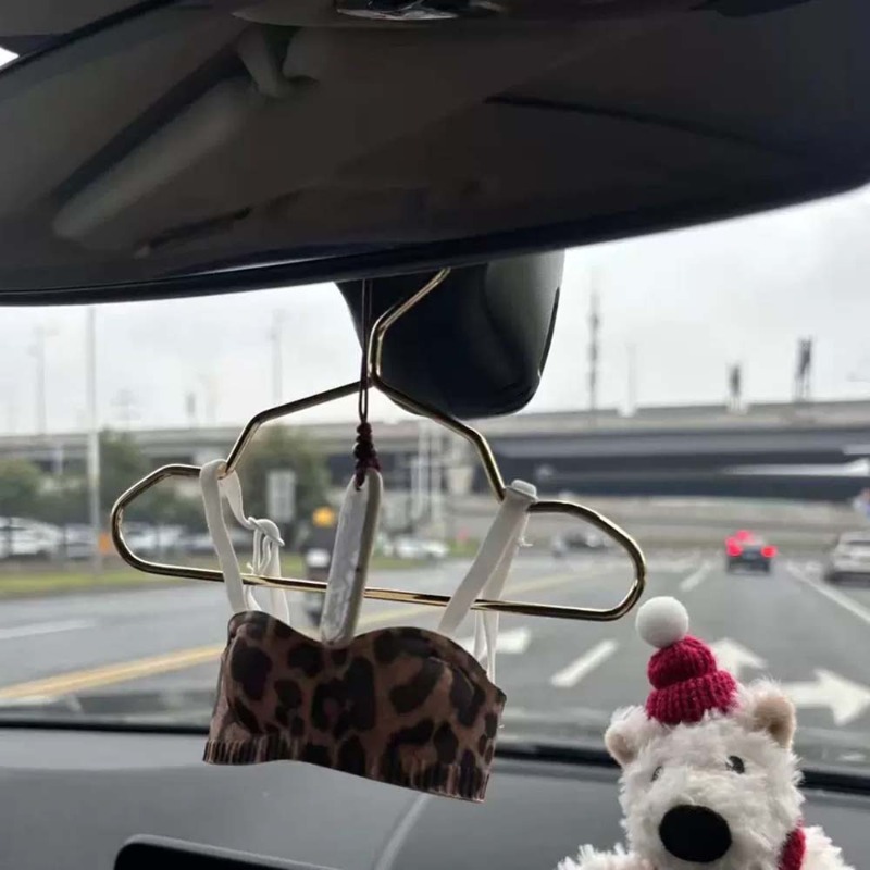 Mini Lingerie Car Ornament, Cu - огляд і ціна Interior Design Years