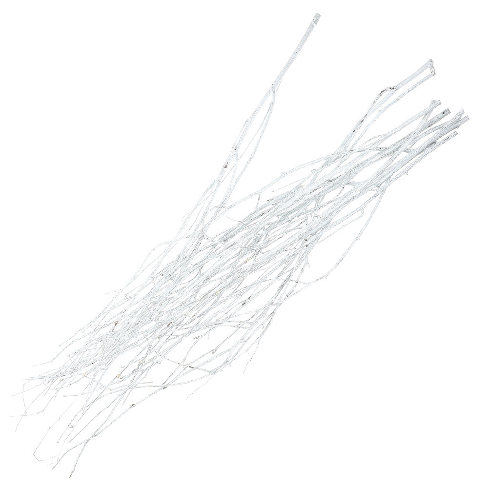 12Pcs Natural Small Twigs Drie - огляд і ціна Interior Design Studio