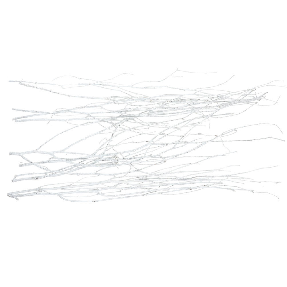 12Pcs Natural Small Twigs Drie - огляд і ціна Interior Design Studio